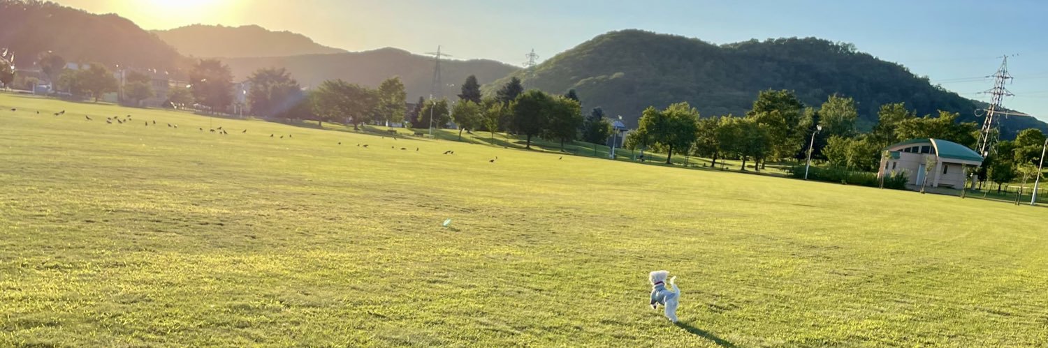 ちゃむち 🦦🥢 banner