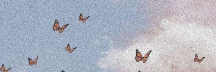 a_lopez06's profile banner image