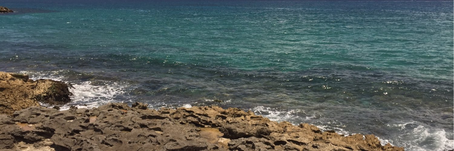 Myralopez41's profile banner image