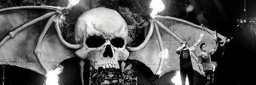 lalax banner