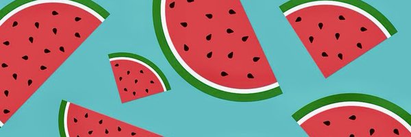 FPaivaSantos Profile Banner