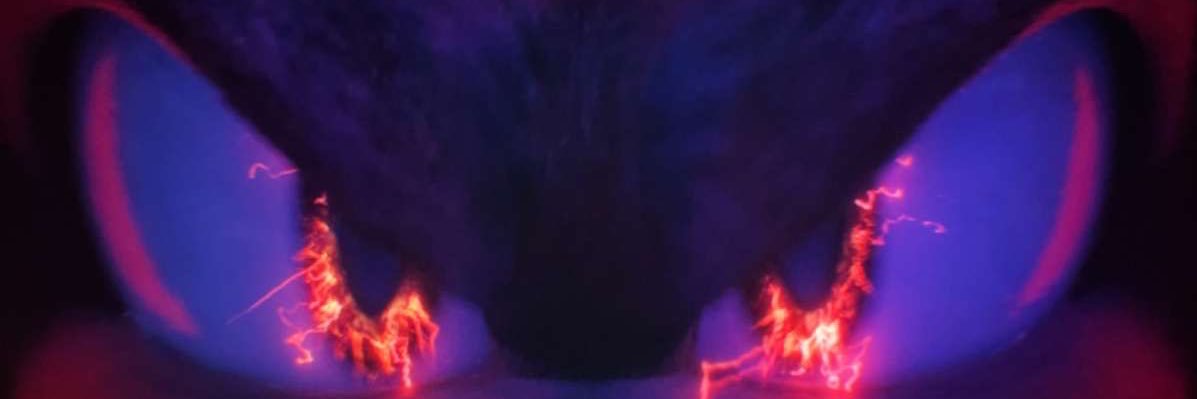 LsOnMe1's profile banner image