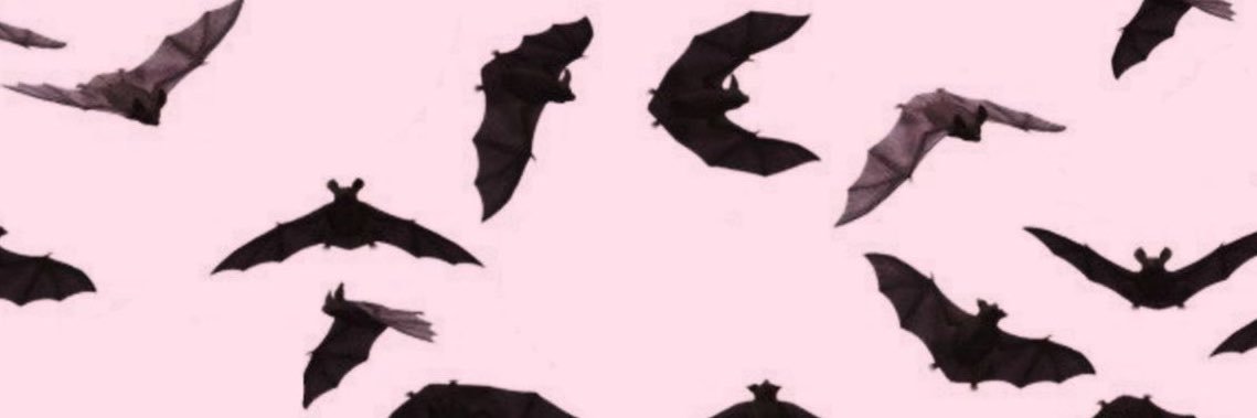 janebites_'s profile banner image