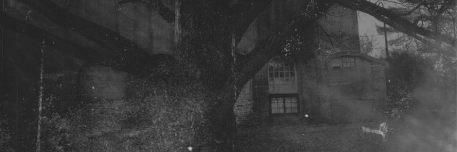 deritmemori's profile banner image