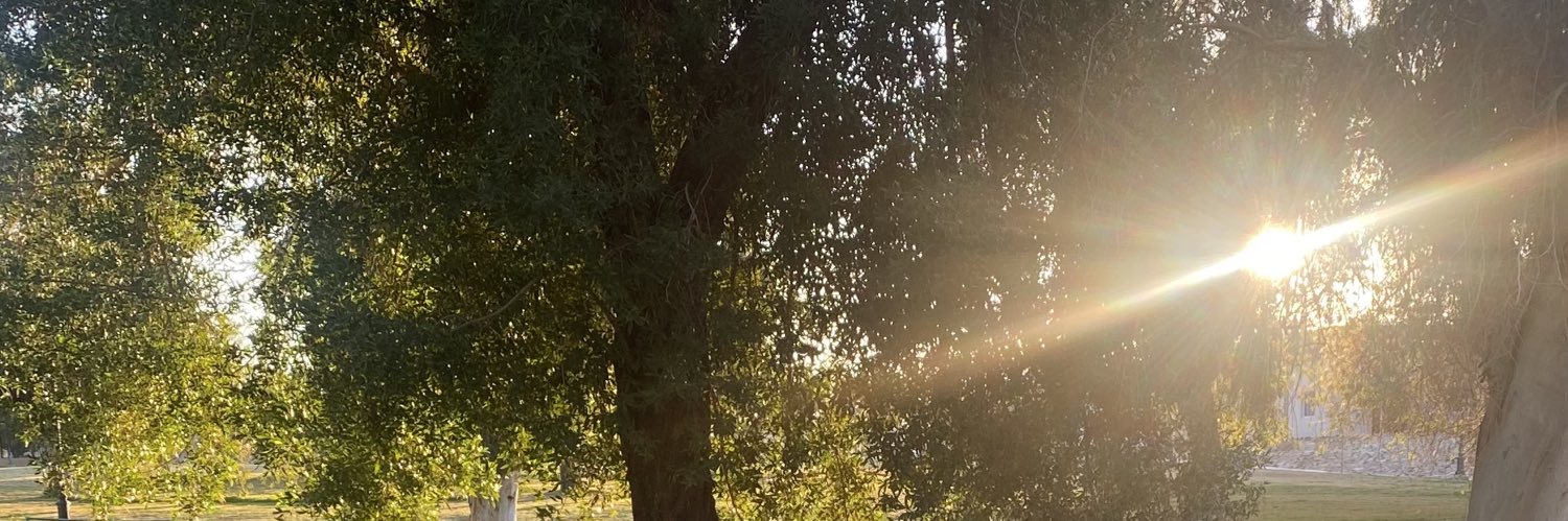 i move at my own pace banner