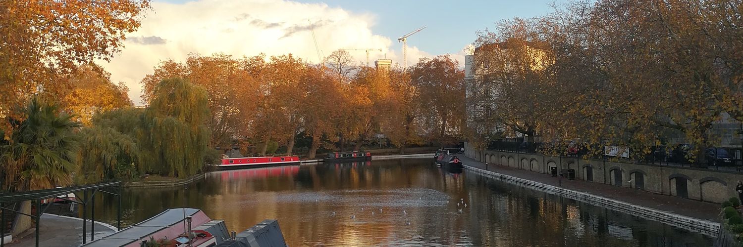 Alessandra Radicati banner