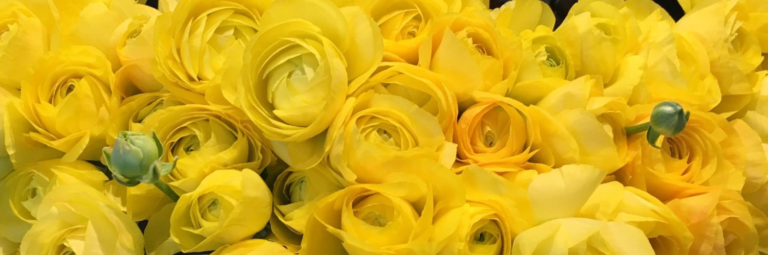 thurosuk's profile banner image