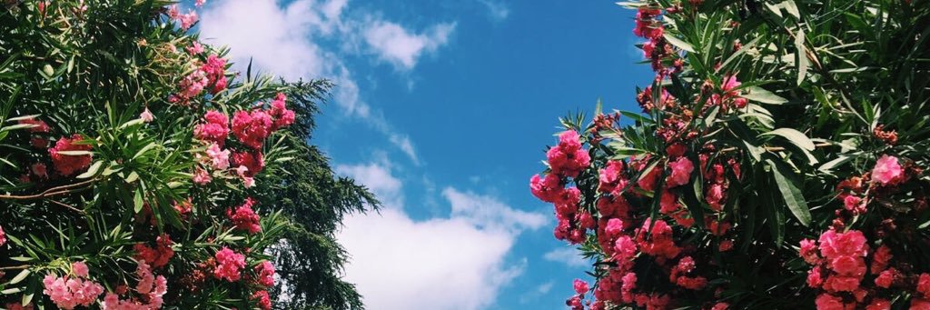 Scarrrrlett's profile banner image
