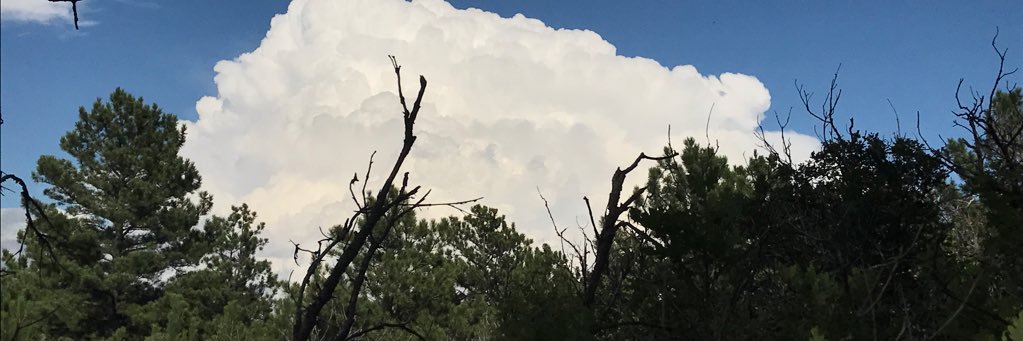 AlexSchoenhals's profile banner image