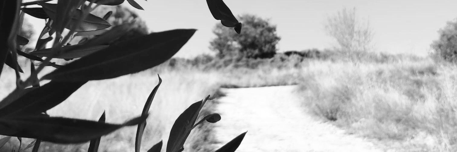 _NiaMarin_'s profile banner image