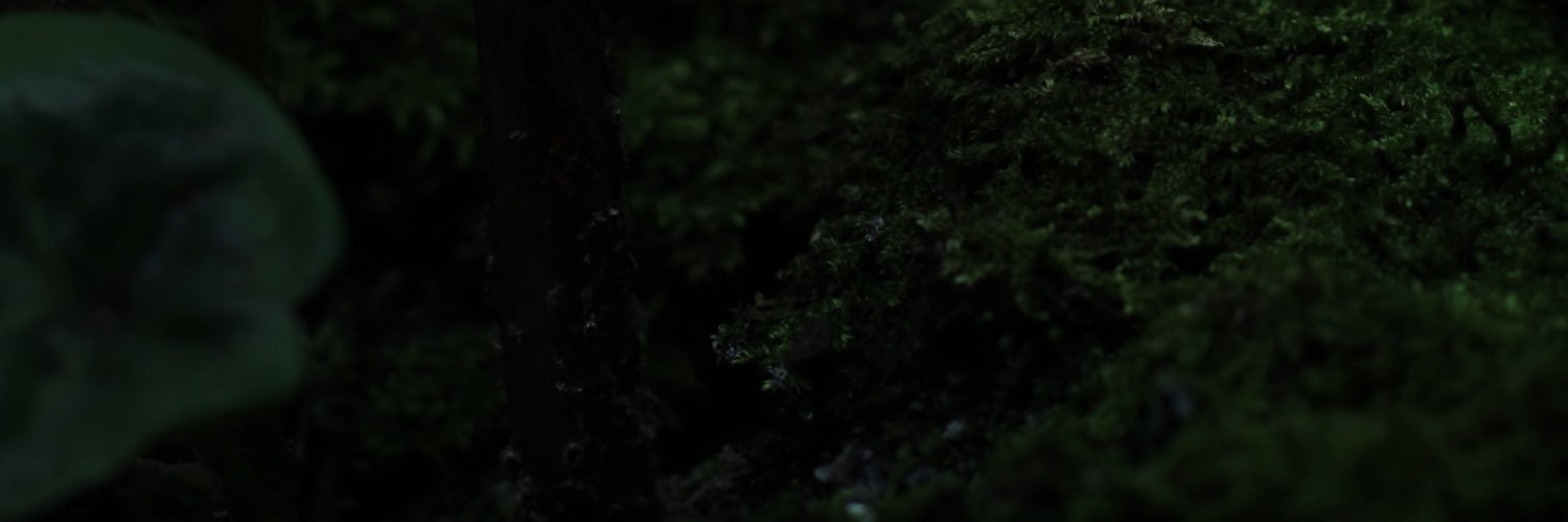 Dwinology's profile banner image