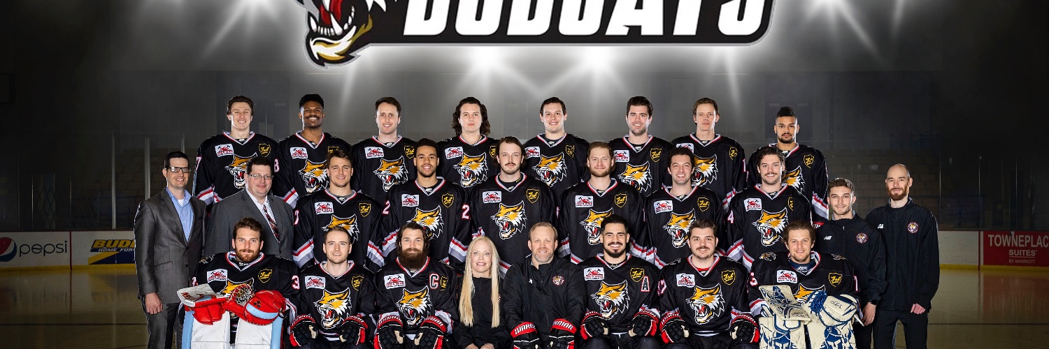 Vermilion County Bobcats banner