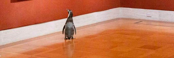 FOUCHARDFILIPPI Profile Banner