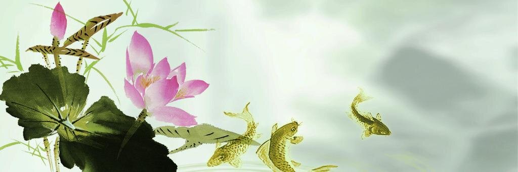 animetoysINC's profile banner image