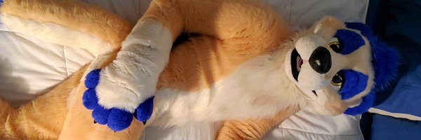 tigerthemurrkat Profile Banner