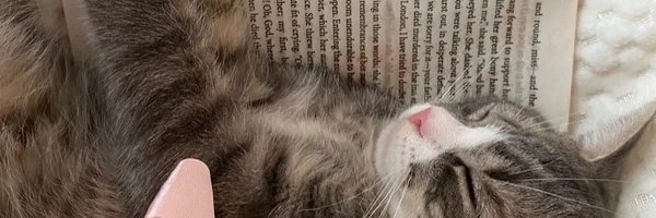 aml_aba Profile Banner