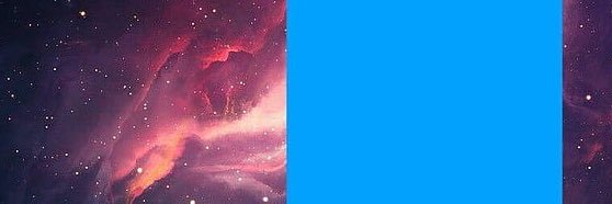 Flor banner