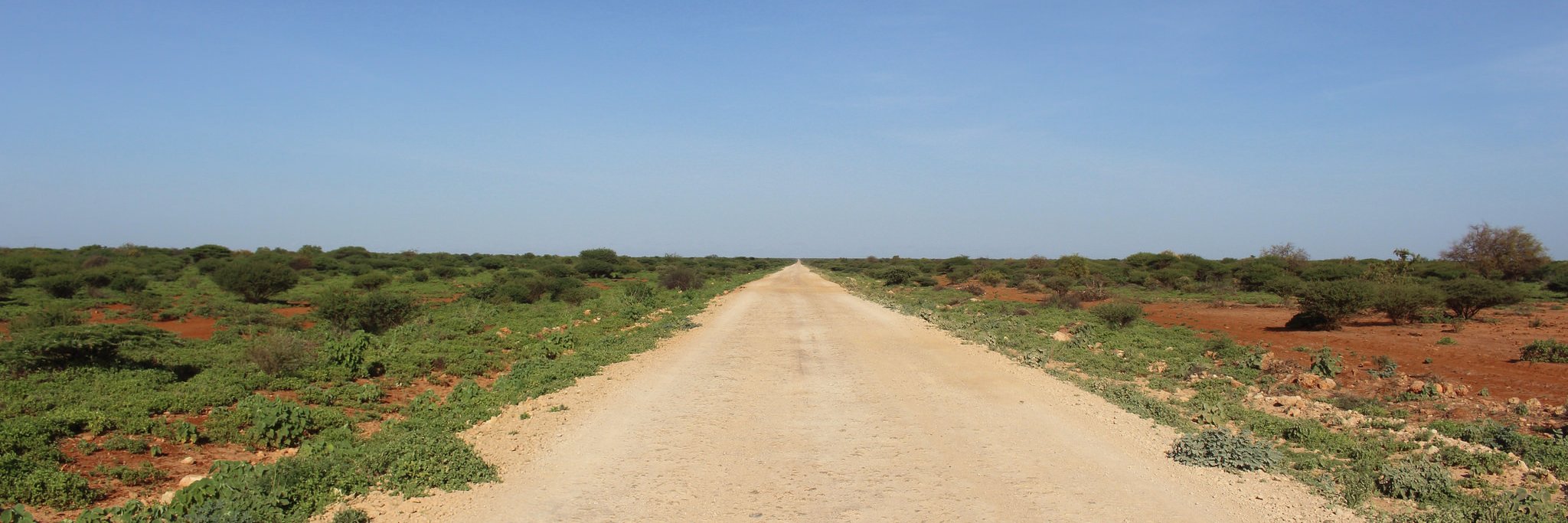 absfarah's profile banner image