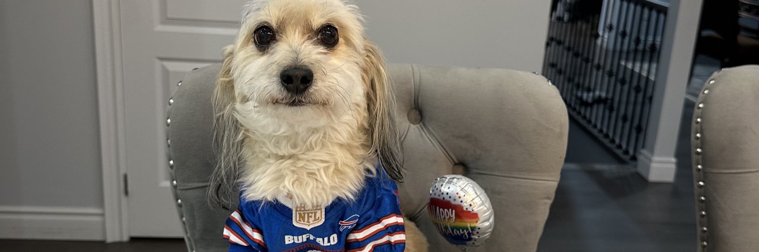 Andrew Eldeiry banner