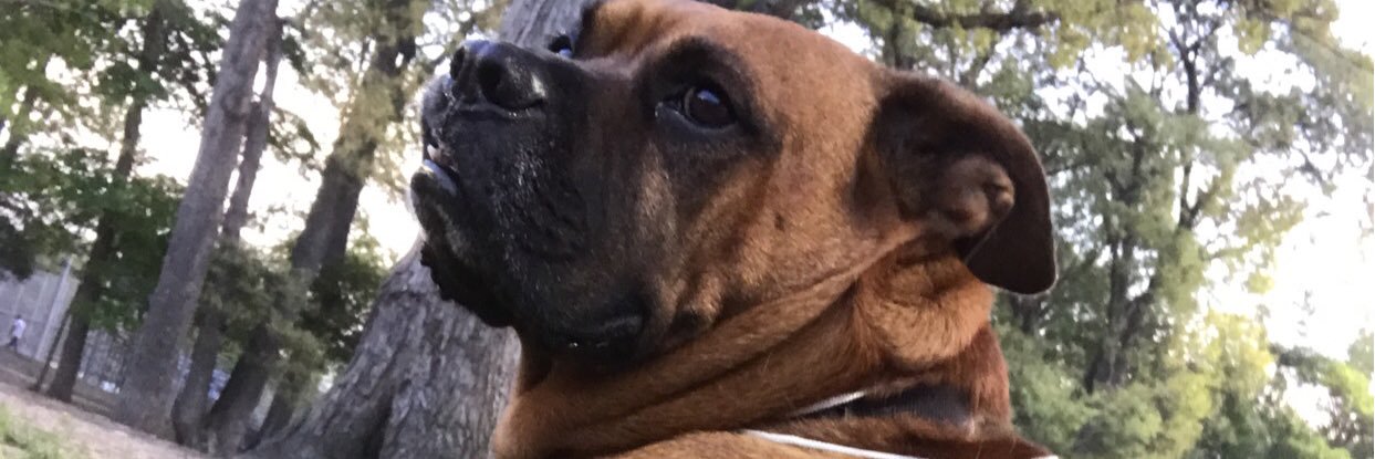 krossbaby's profile banner image