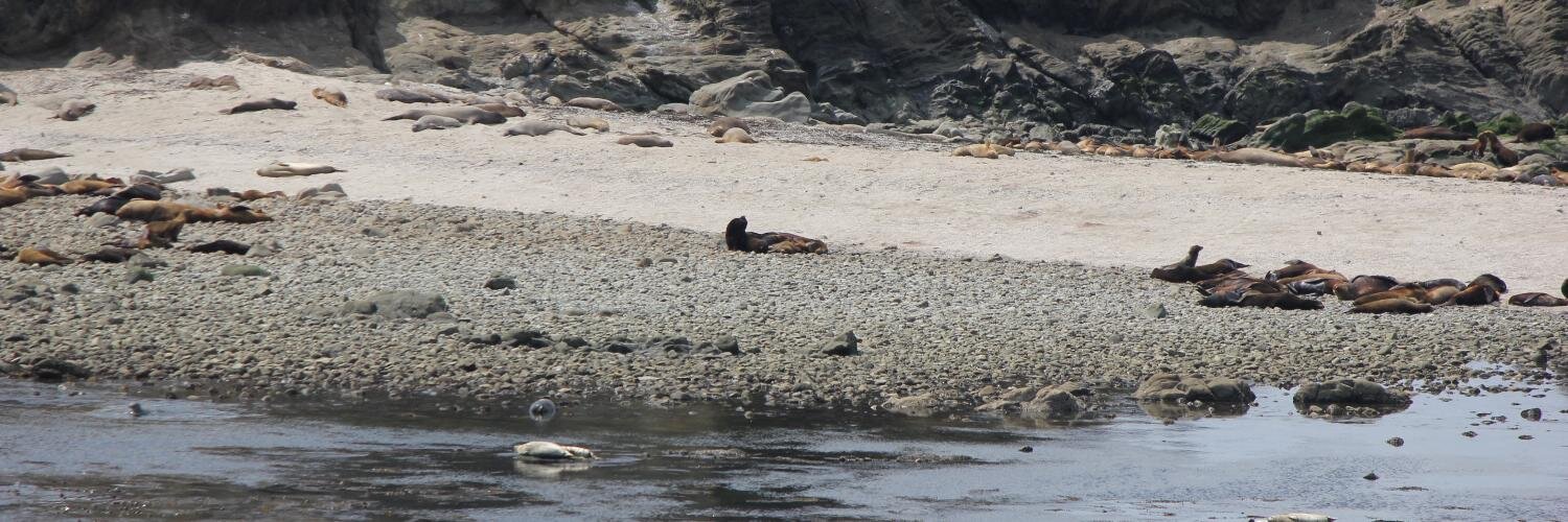 Digitalized Warfare banner