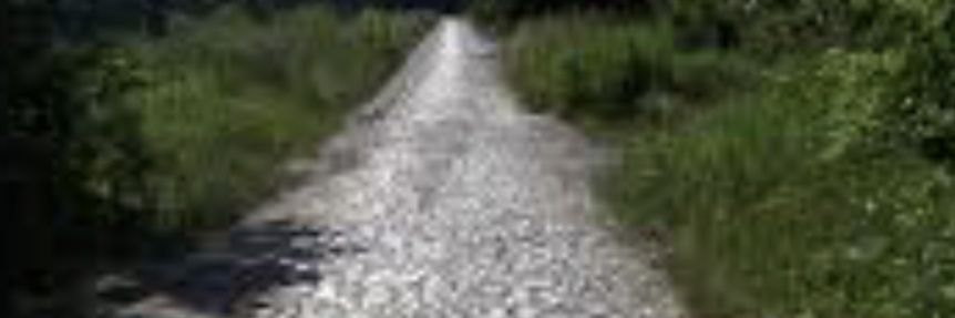 drey men (parity account) banner