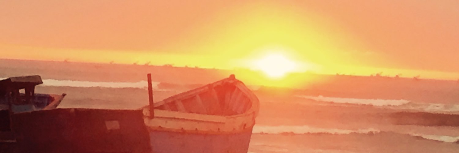 SILVIA RAGGI banner