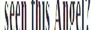 mr. lesbian's banner