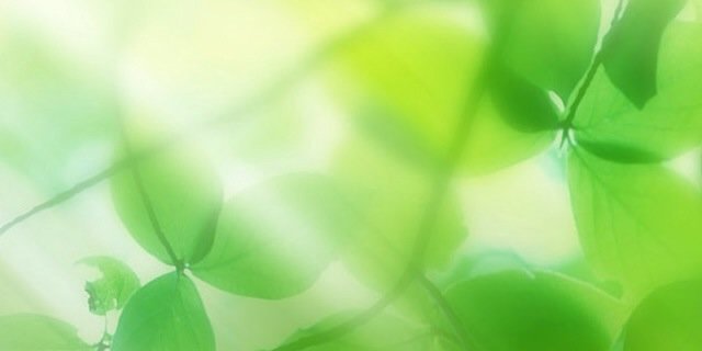 hisaane's profile banner image