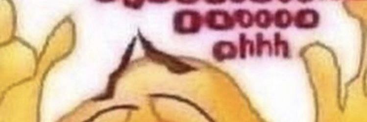 YShleck's profile banner image