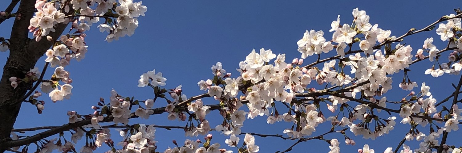 mikikoring's profile banner image