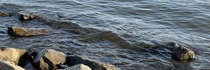 ❁🚶🏻 banner