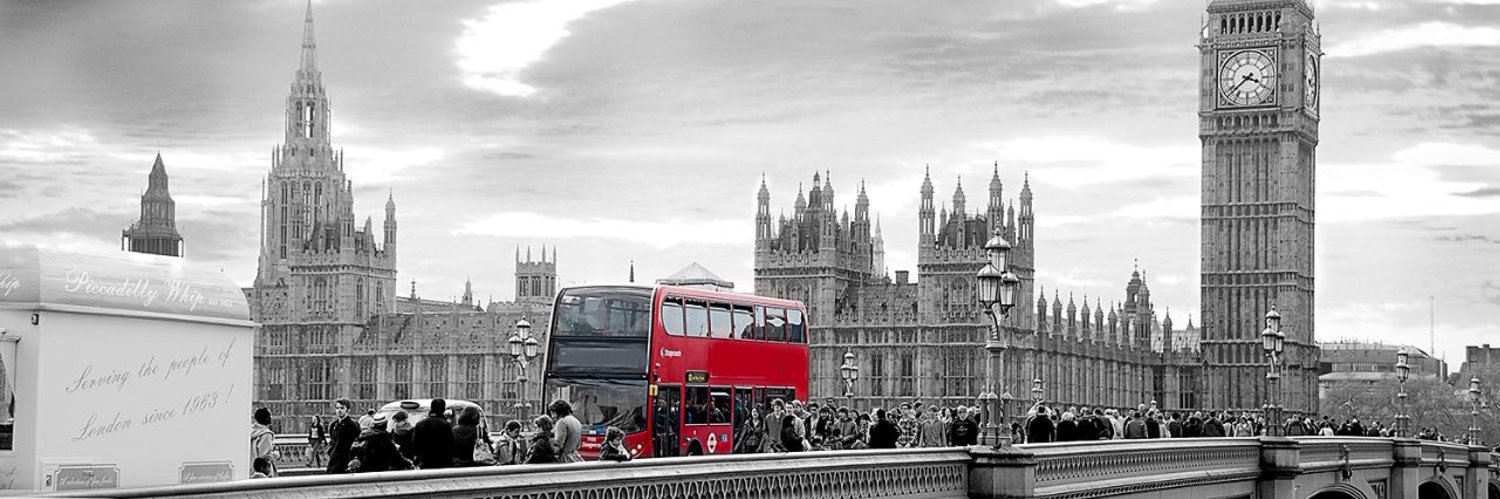 D300q8's profile banner image