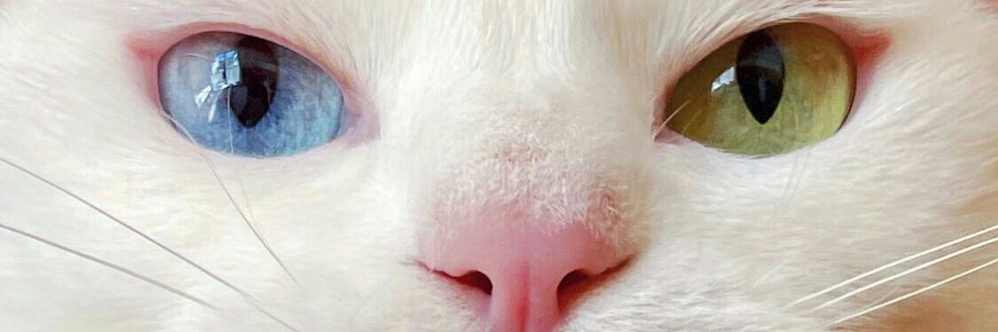 salsabilena's profile banner image