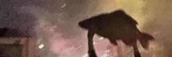 m0ssjuice Profile Banner
