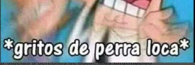 GroneNacho's profile banner image