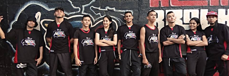 AlianzaBrother's profile banner image