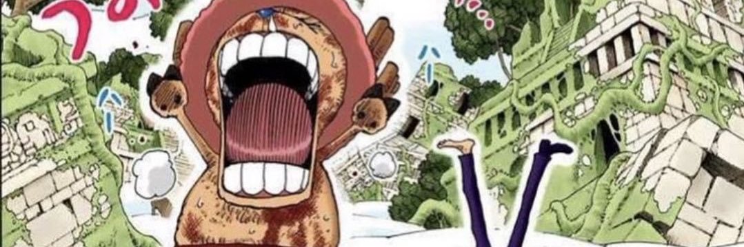 القطعة الواحدة. banner