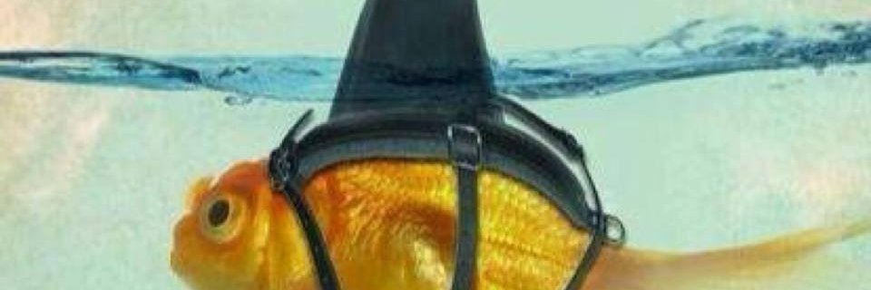 KnotRusty's profile banner image