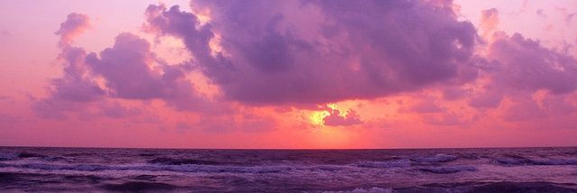 feede_cali0's profile banner image