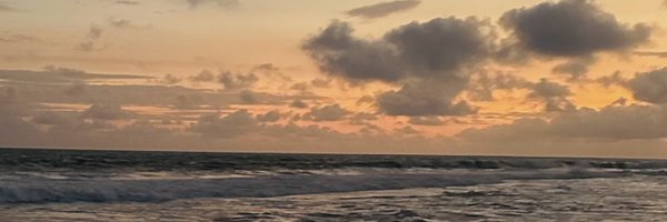 Teecrypt_ Profile Banner
