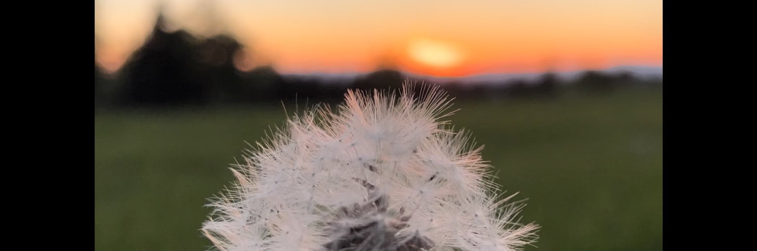 DigitallyCruxt's profile banner image
