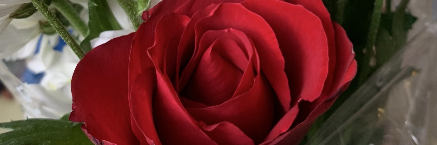 kyIenew's profile banner image