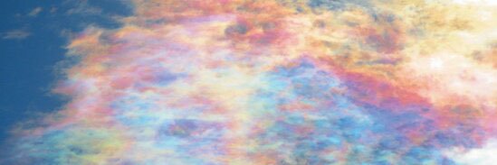 pomme1026's profile banner image