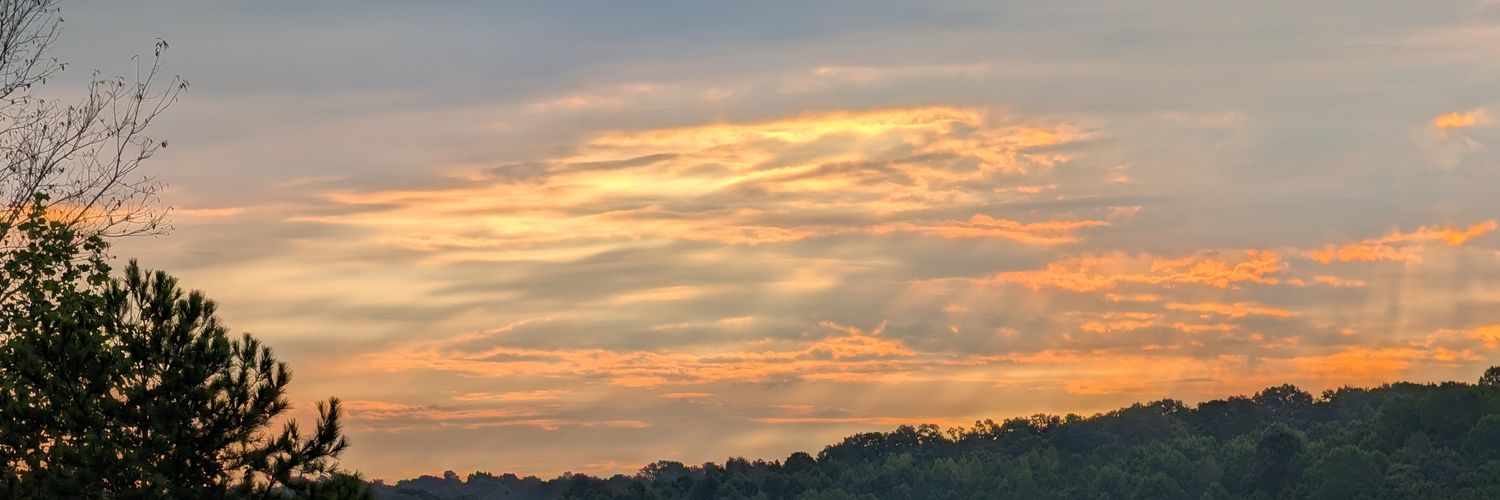BergmanDjt's profile banner image