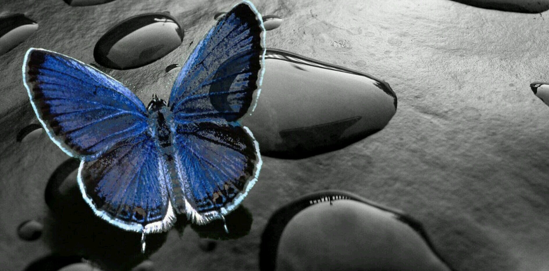 dilip_naman's profile banner image