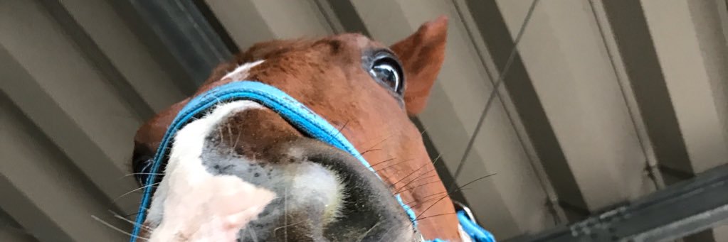 さのみか banner