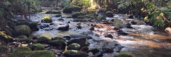 eujosemello Profile Banner