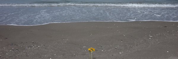 marereii Profile Banner