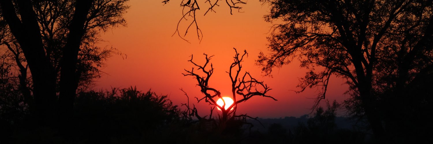 Just Mike (keepin’ it simple)😎 banner